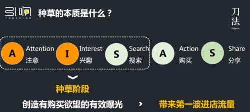 小红书种草攻略：如何快速上手