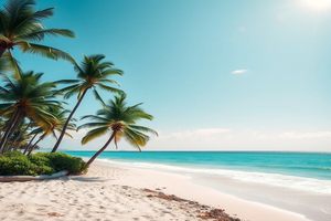 珠海招聘现场，人才与劳务市场流量秘籍！